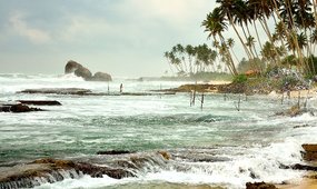 Нужна ли виза на Шри-Ланку